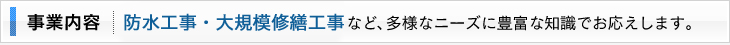 事業内容｜防水工事・大規模修繕工事など、多様なニーズに豊富な知識でお応えします。