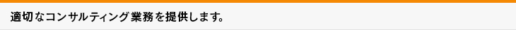 適切なコンサルティング業務を提供します。